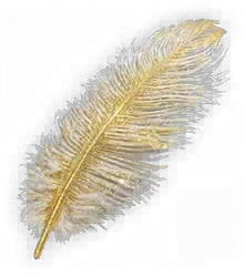 Feather of Ma'at