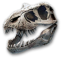Dinosaur Skull