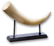 Mammoth Ivory