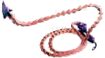 Spine Whip